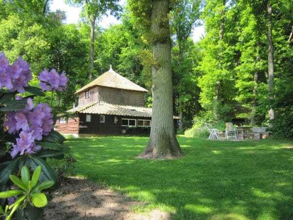 Slapen in een bijzonder huisje in het bos