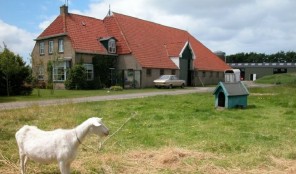 Boerderij op Terschelling nabij de duinen Bijzondere overnachting melkschapenhouderij