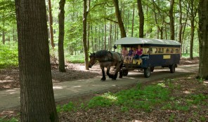 Kom slapen in deze monumentale boerderij Overnachten boerderij Gelderland