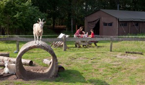 Kom slapen op deze bijzondere boerderij Overnachten familie boerderij