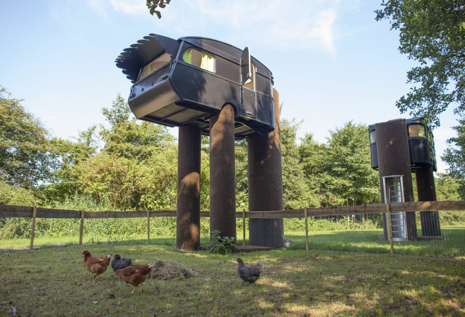 Slapen in een struisvogel