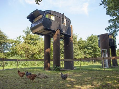 Slapen in een struisvogel