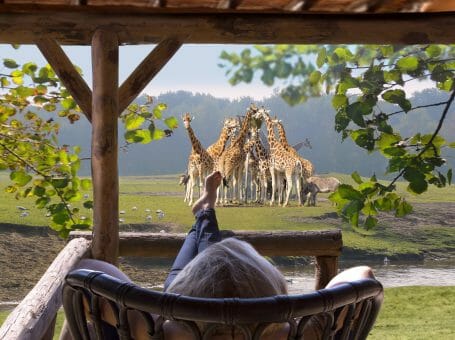 Slapen in Safari Resort de Beekse Bergen