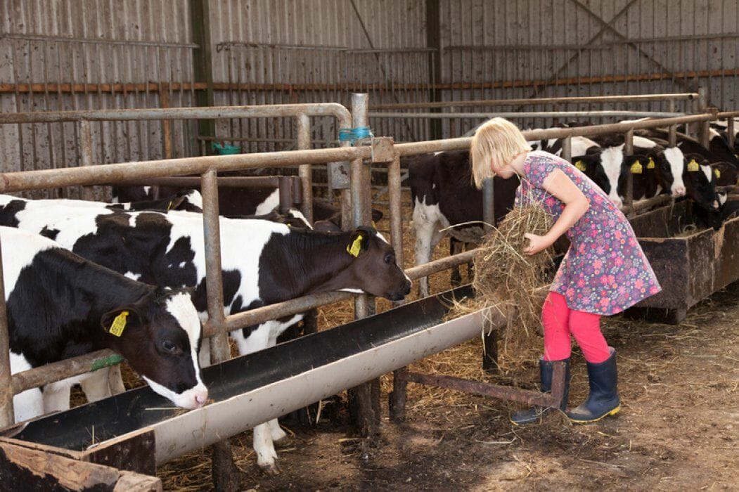 Slapen bij de boer Hoeve Banenburg Zeeland