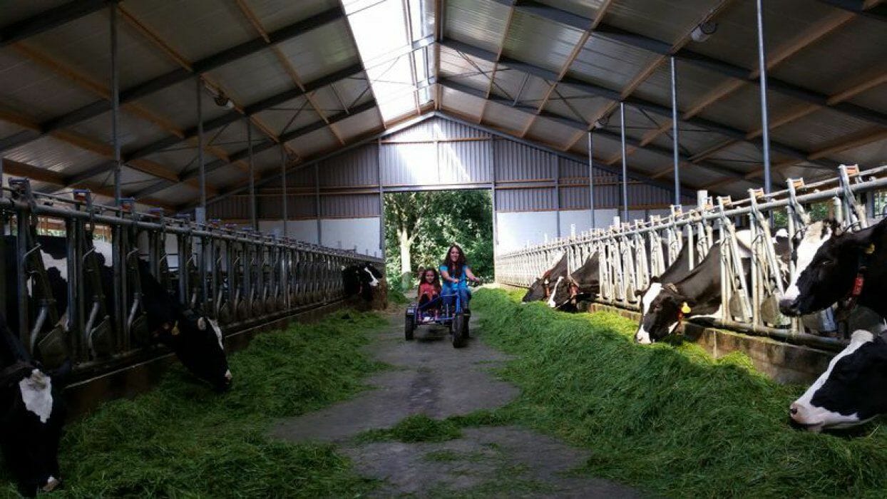 Bijzondere Overnachting Slapen bij de boer Hoeve De Pippert Ophemert Gelderland10