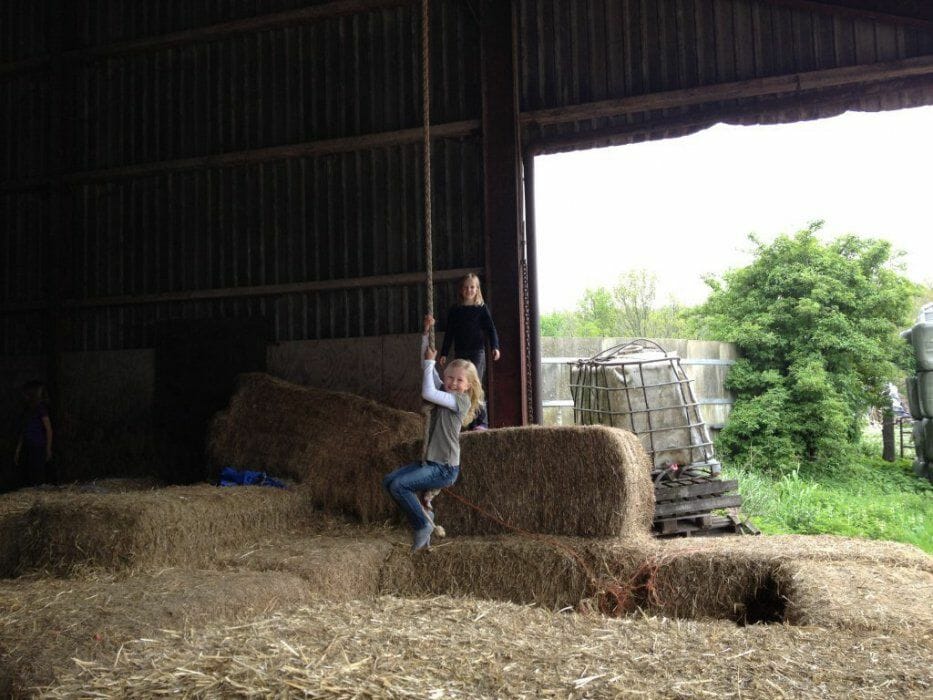 Bijzondere Overnachting Slapen bij de boer Hoeve De Pippert Ophemert Gelderland16