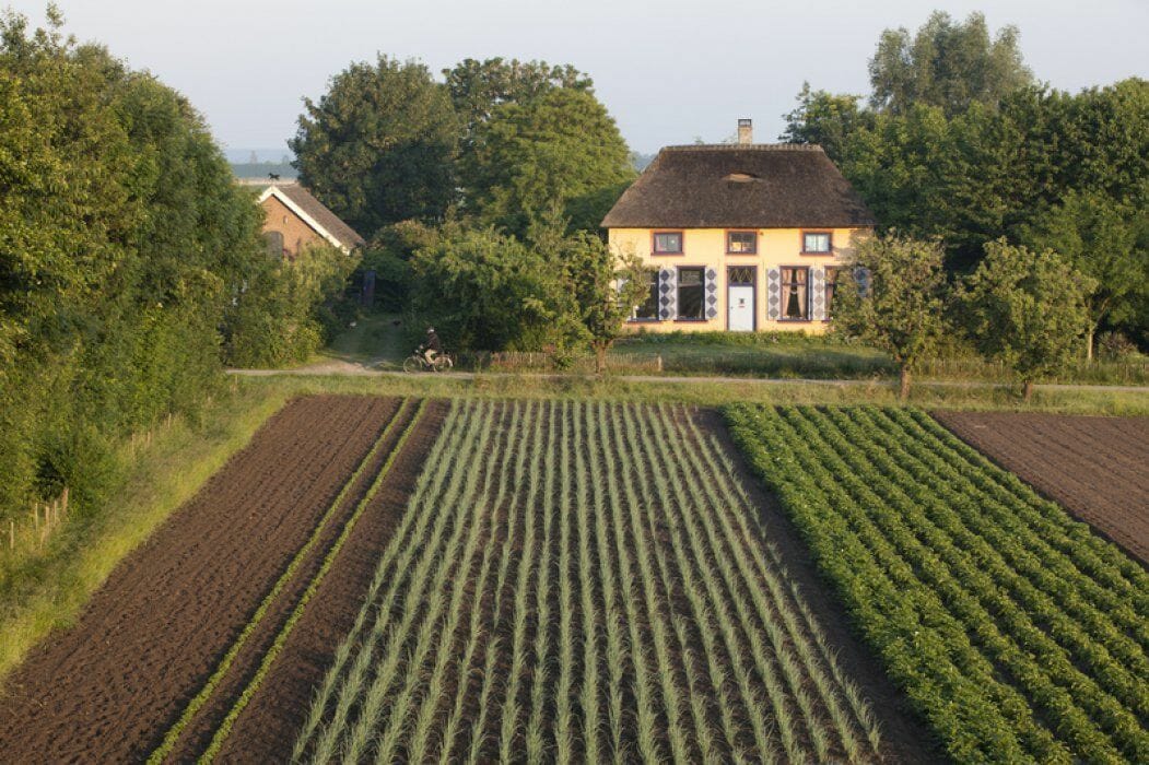 Bijzondere Overnachting Slapen bij de boer Hoeve De Pippert Ophemert Gelderland17
