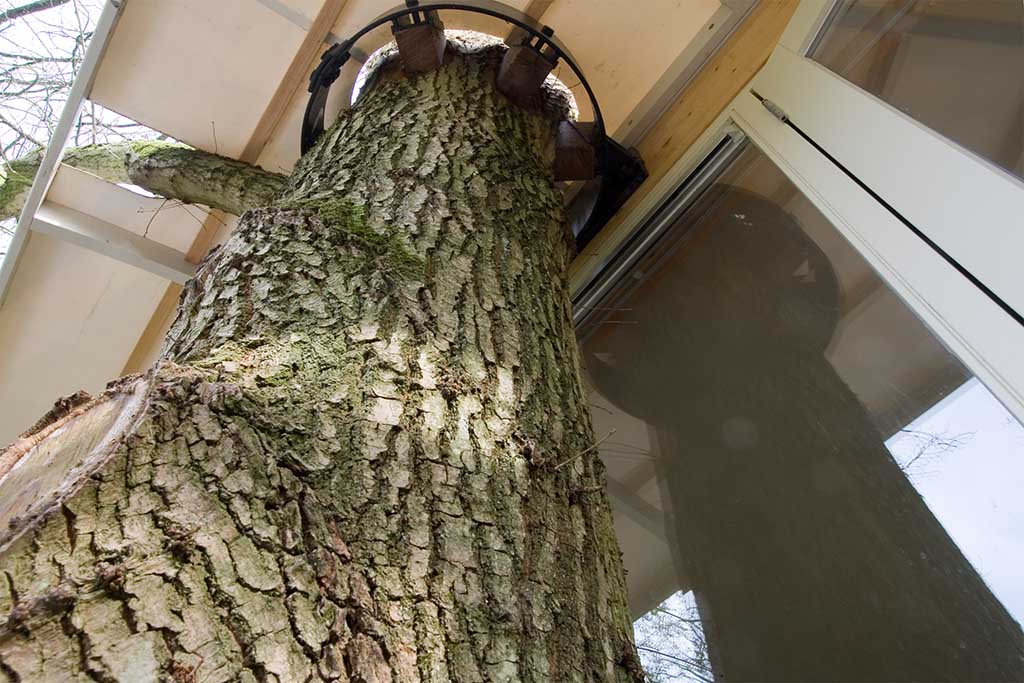 Bijzondere Overnachting Slapen in een boomhut Buytenplaets Suydersee9