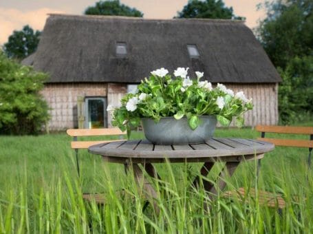 De Wilmsboo – Comfortabel en rustig vakantiehuisje in Drenthe