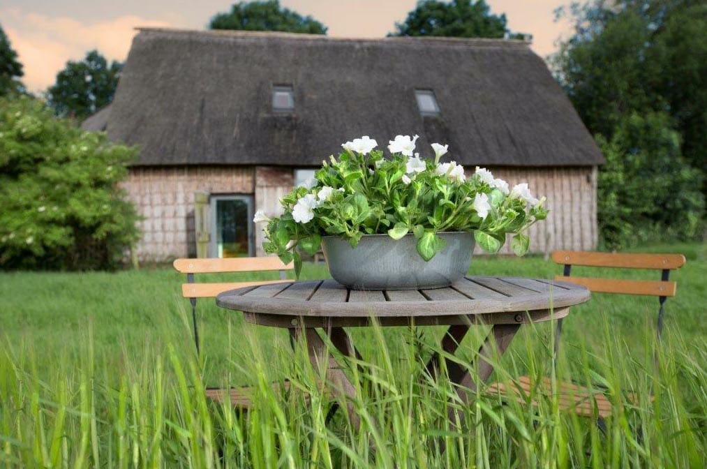 De Wilmsboo - Comfortabel en rustig vakantiehuisje in Drenthe