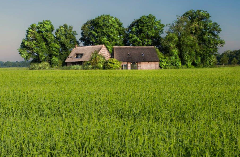Bijzondere Overnachting Slapen in vakantiehuisje Drenthe Wilmsboo8