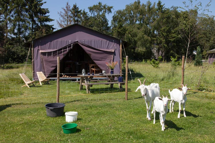 Slapen op een boerderij met knuffelschuur in Drenthe