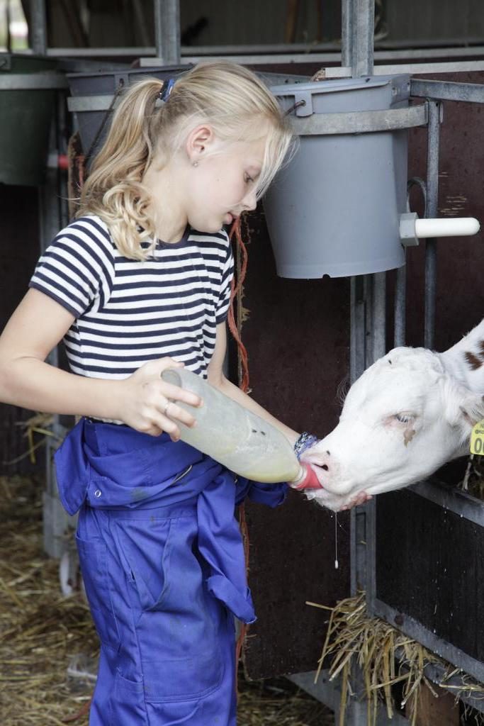 Bijzondere Overnachting Origineel Overnachten Overnachten in Koe in de Kost in Overijssel 12