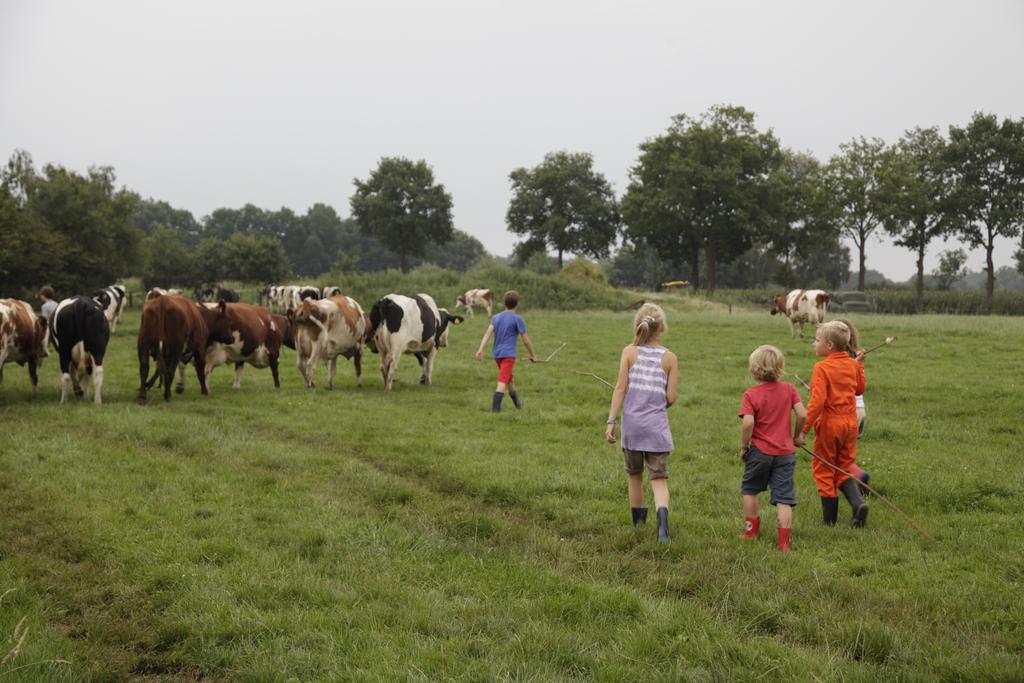 Bijzondere Overnachting Origineel Overnachten Overnachten in Koe in de Kost in Overijssel 15