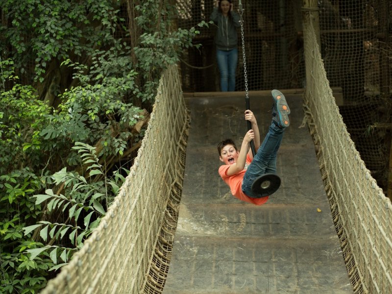 Bijzondere Overnachting Origineel Overnachten Slapen in de Jungle Cabana van Center Parcs Het Heijderbos 14