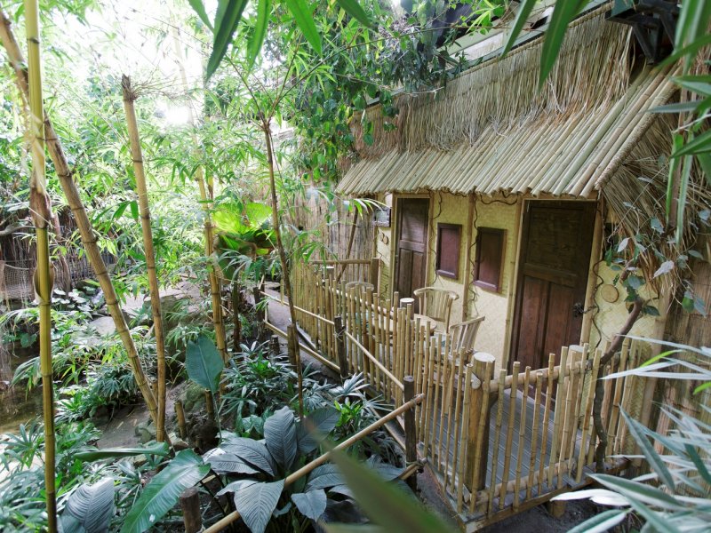 Bijzondere Overnachting Origineel Overnachten Slapen in de Jungle Cabana van Center Parcs Het Heijderbos 2