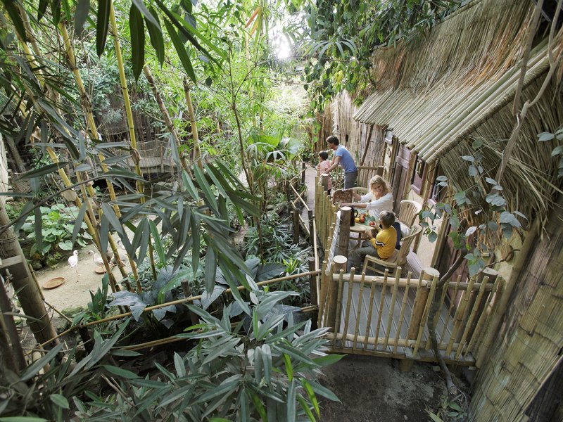 Bijzondere Overnachting Origineel Overnachten Slapen in de Jungle Cabana van Center Parcs Het Heijderbos 5