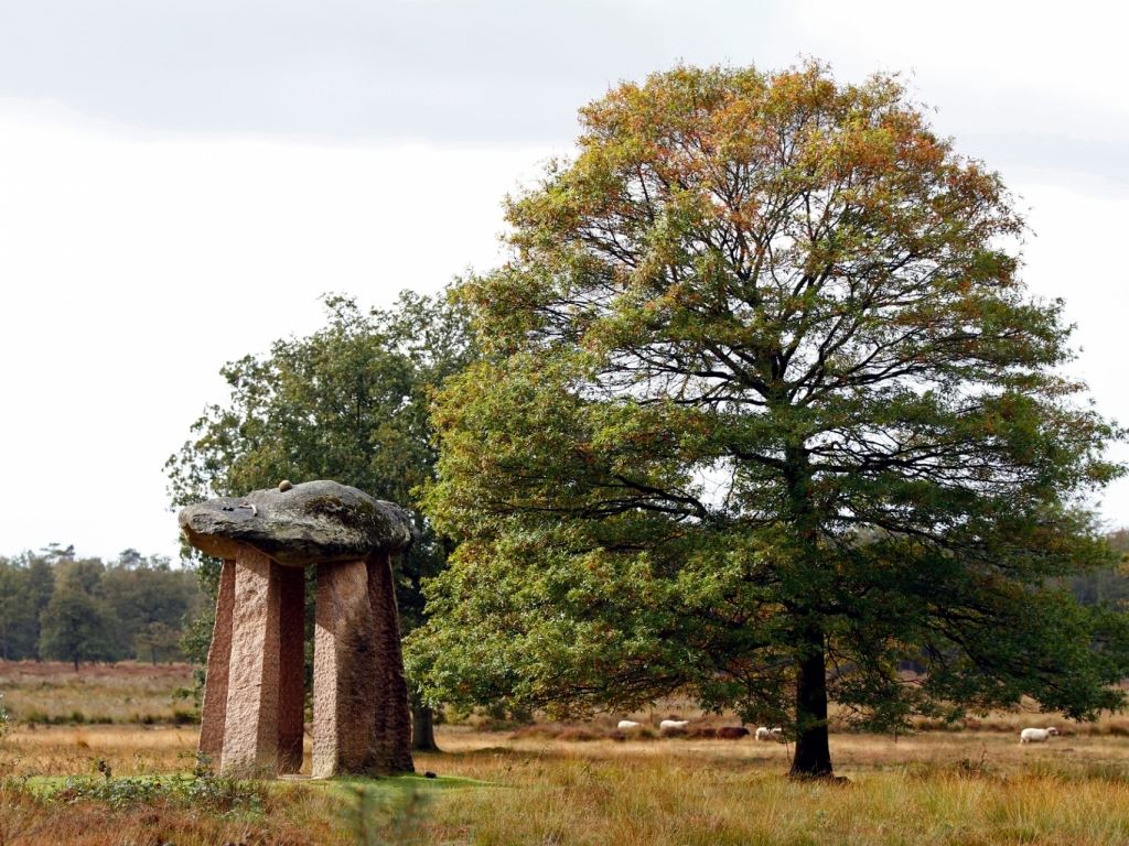 Landal Puur Exloo Drenthe slapen op de hei 10