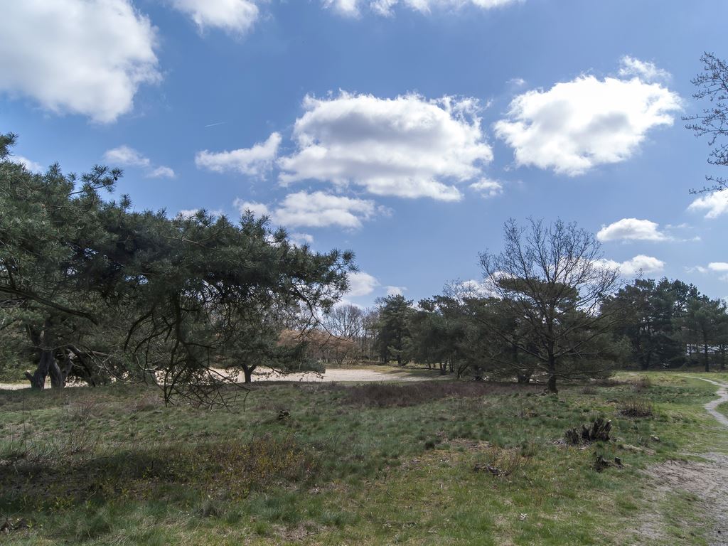 Landal Puur Exloo Drenthe slapen op de hei 9