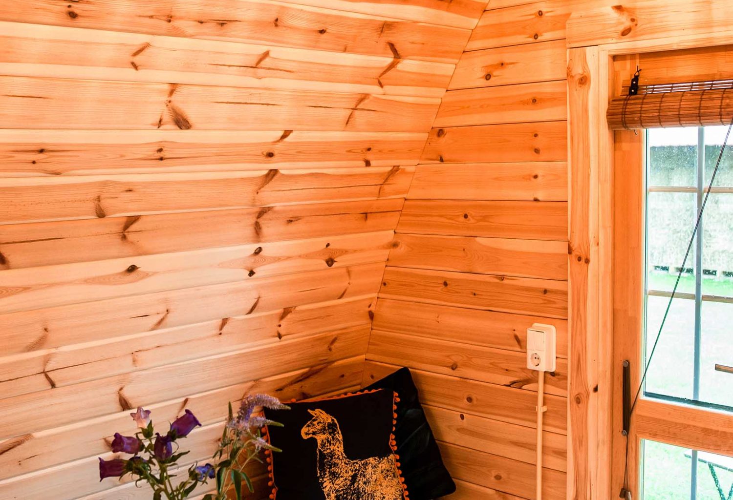 Glamping aan de Waterspiegel slapen met alpacas Zeeland CampingPod 4