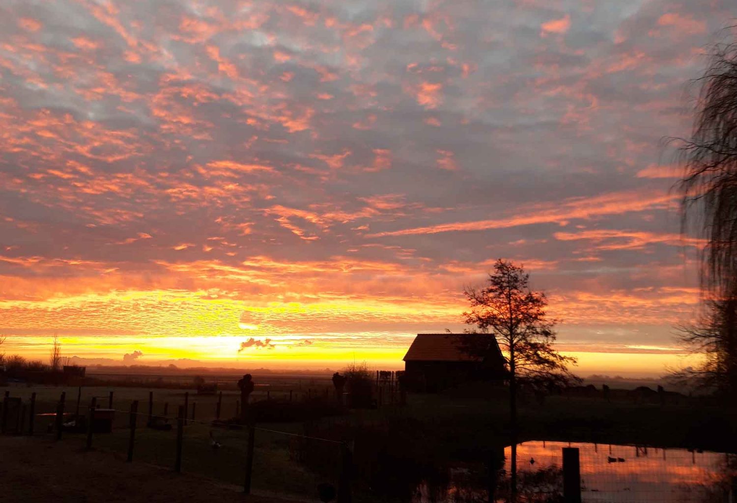 Glamping aan de Waterspiegel slapen met alpacas in Zeeland de Schuilstal 10