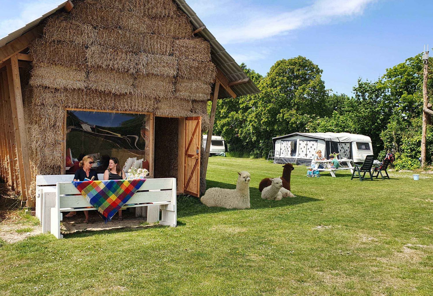 Glamping aan de Waterspiegel slapen met alpacas in een huis van stroo Zeeland 1