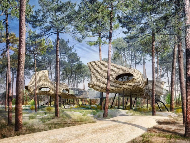 boomhut-centerparcs-les-landes-des-gascogne1